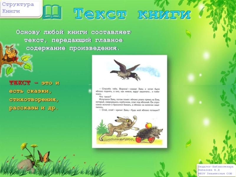 Презентация книги текст