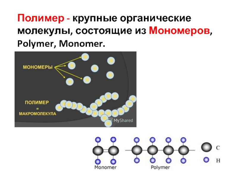 Какие органические молекулы