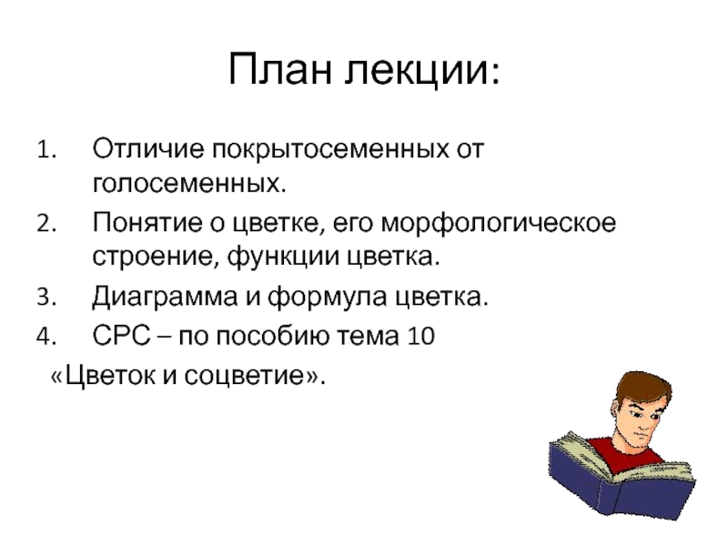 Чем отличается лекция от семинара. Функции цветка.