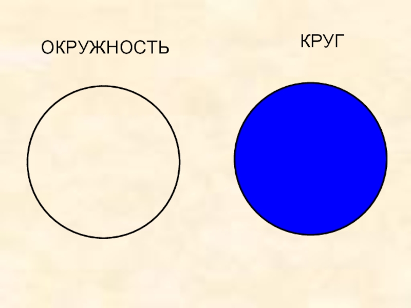 Окружность и круг картинки