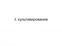 Кинетика периодического культивирования без добавления питательного субстрата 