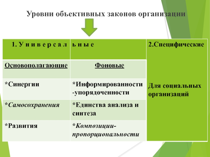 Основным законом организации является. Уровни объективных законов организации. Объективные законы. Основные и специфические законы организации. Проявление законов организации.