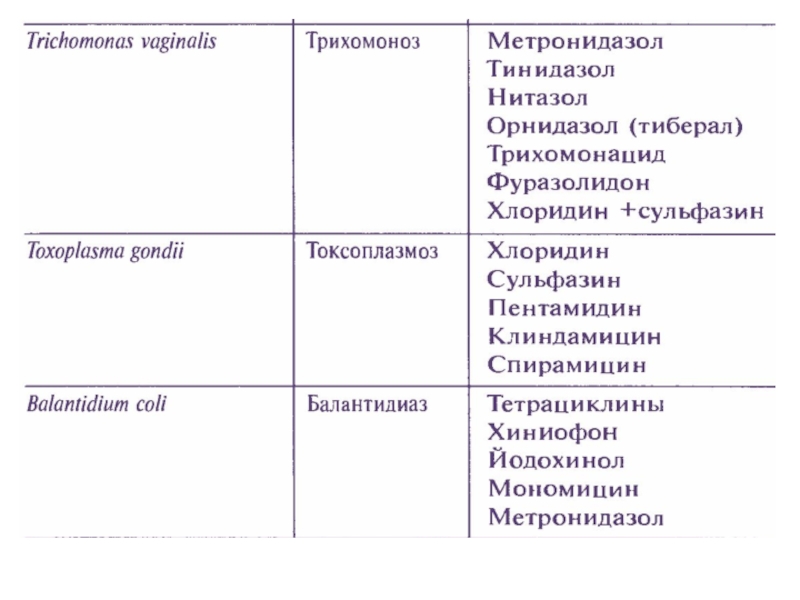 Противогрибковые средства фармакология презентация