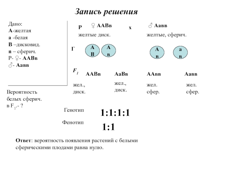 Схема аавв х аавв соответствует скрещиванию