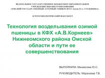 Технология возделывания озимой пшеницы в КФХ А.В.Корнеев Нижнеомского района