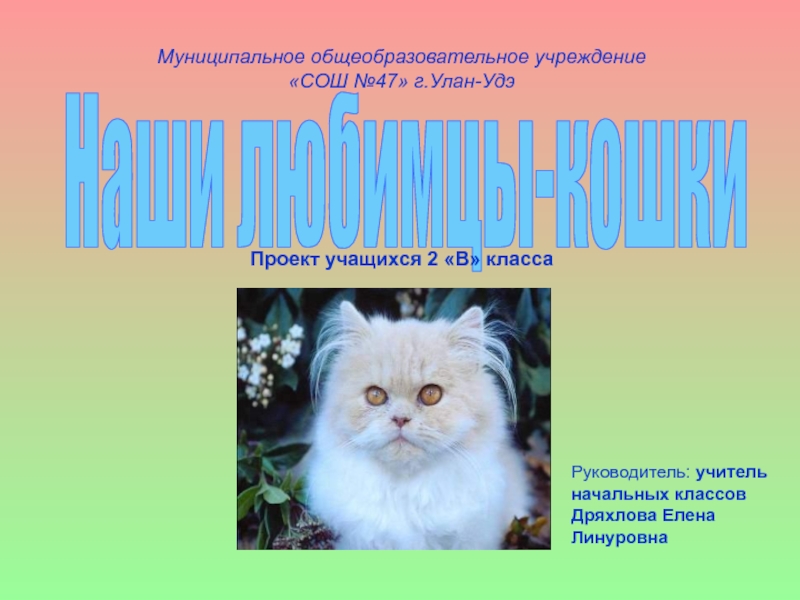 Презентация Наши любимцы - кошки 2 класс