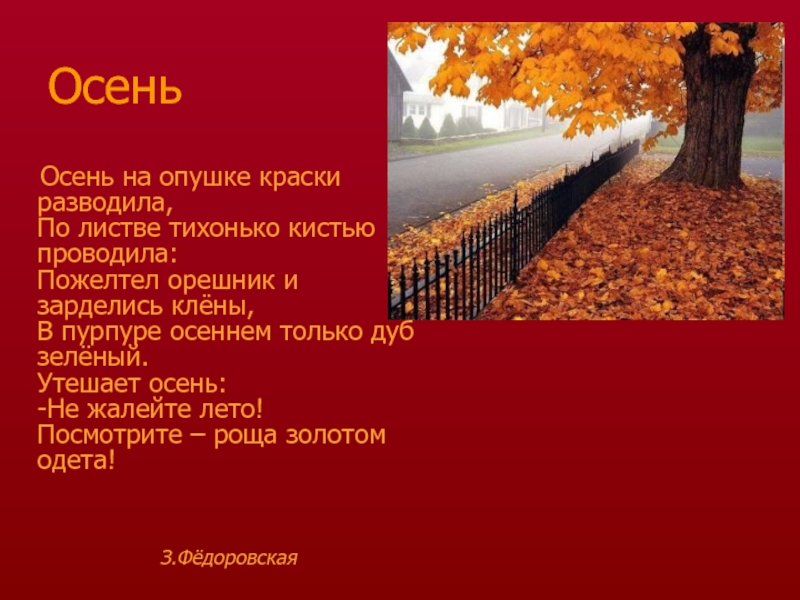 Тексте autumn. Осенние краски стихи. Осень на опушке краски разводила по листве тихонько. Пожелтел орешник и зарделись клены. Осень на опушке краски разводила: пожелтел орешник и зарделись клёны,.