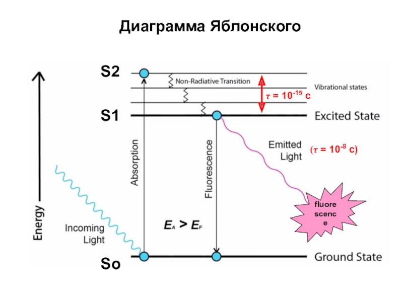 Диаграмма яблонского люминесценция