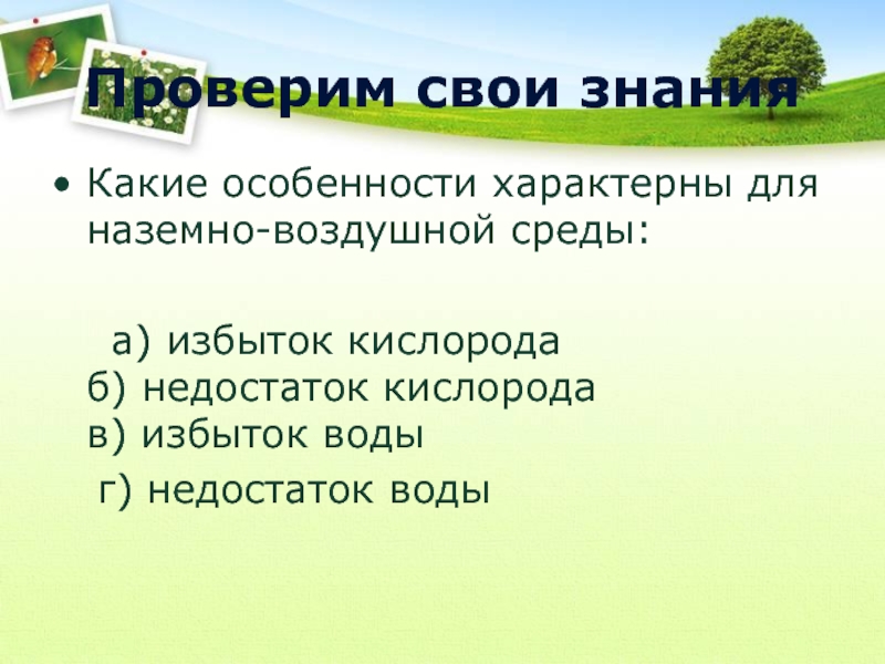 Чем водные биомы отличаются от наземных