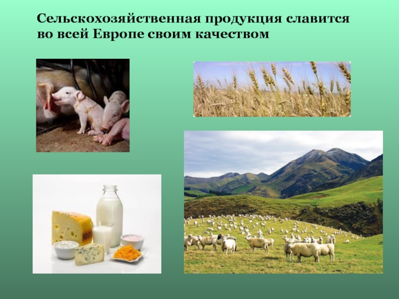 Определение сельскохозяйственная продукция