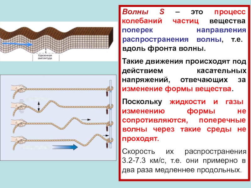 Волны распространяются вдоль резинового шнура