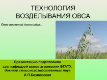 ТЕХНОЛОГИЯ ВОЗДЕЛЫВАНИЯ ОВСА