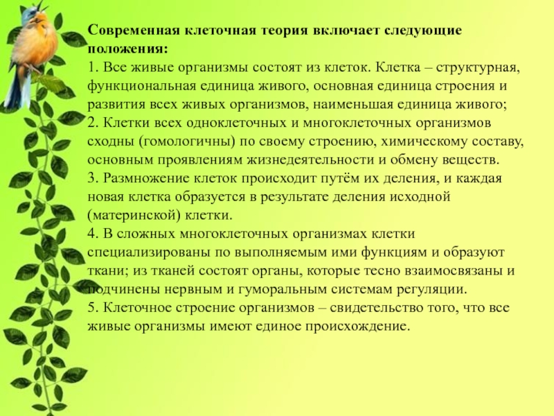 Современная клеточная теория. Клеточная - теория включает следующие положения. Живые организмы состоят из клеток. Наименьшая структурная единица живых организмов.