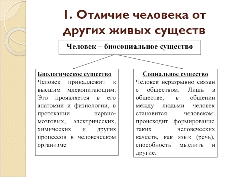 План по обществознанию человек существо биосоциальное существо