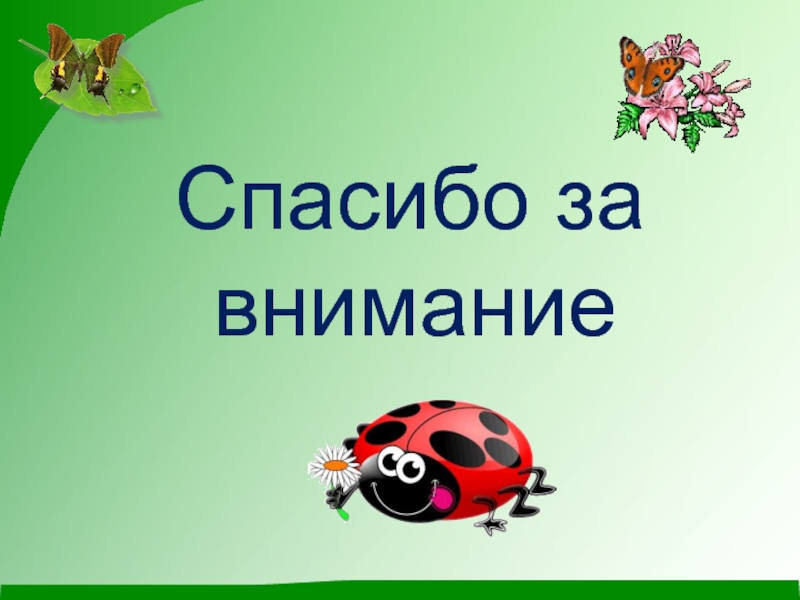 Спасибо за внимание для презентации с животными