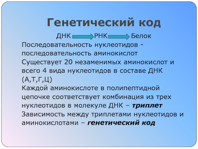 Пластический обмен Синтез белка Генетический кодДНК   РНК   БелокПоследовательность нуклеотидов - последовательность Генетический кодДНК     РНК     БелокПоследовательность нуклеотидов - последовательность аминокислотСуществует 20