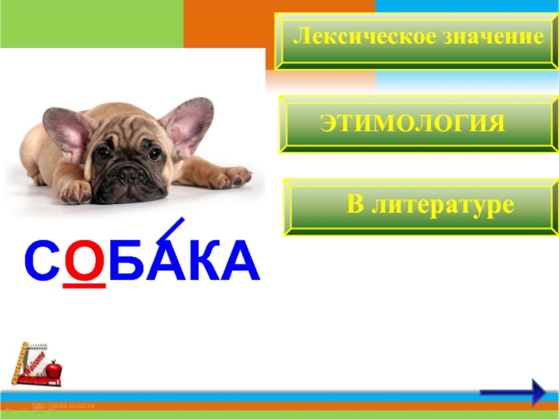 Заглавная буква в кличках животных 1 класс школа россии презентация