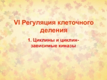 VI Регуляция клеточного деления