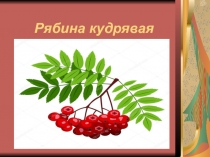 Презентация к занятиям декоративно-прикладным творчеством 