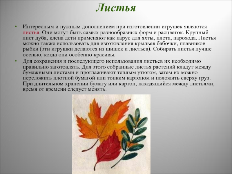 Между листьев. Описать лист клена. Рассказ про листья. Описание осеннего листа. Описание листьев осенью.