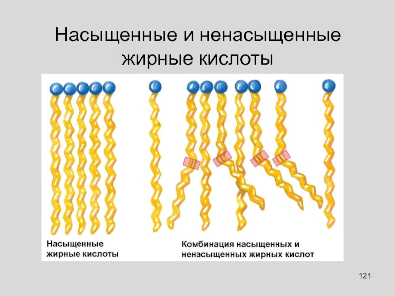 Жирные кислоты рисунок - 92 фото