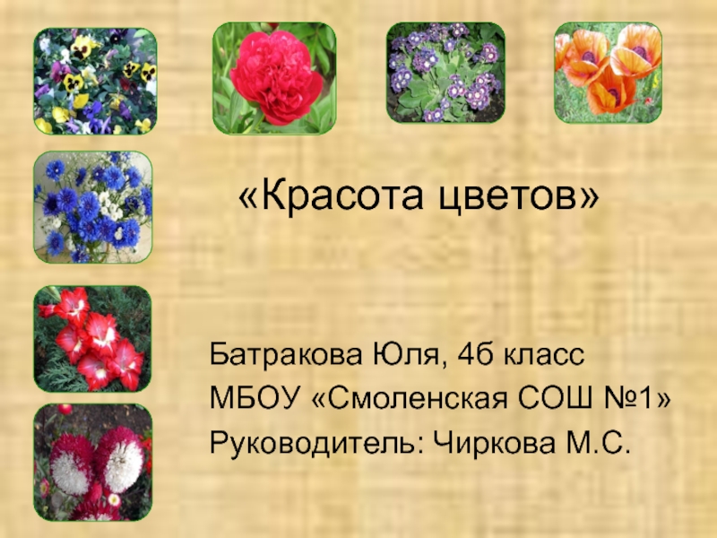 Презентация Цветы — Красота цветов