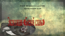 Экспозиция Боевой славы
МАОУ Шеманихинская СОШ
краеведческий музей