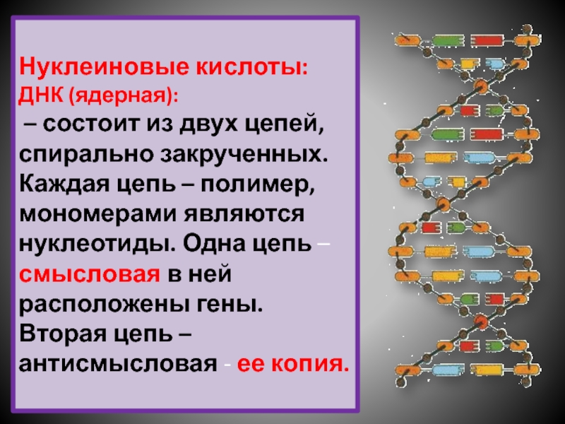 Цепочки кислоты