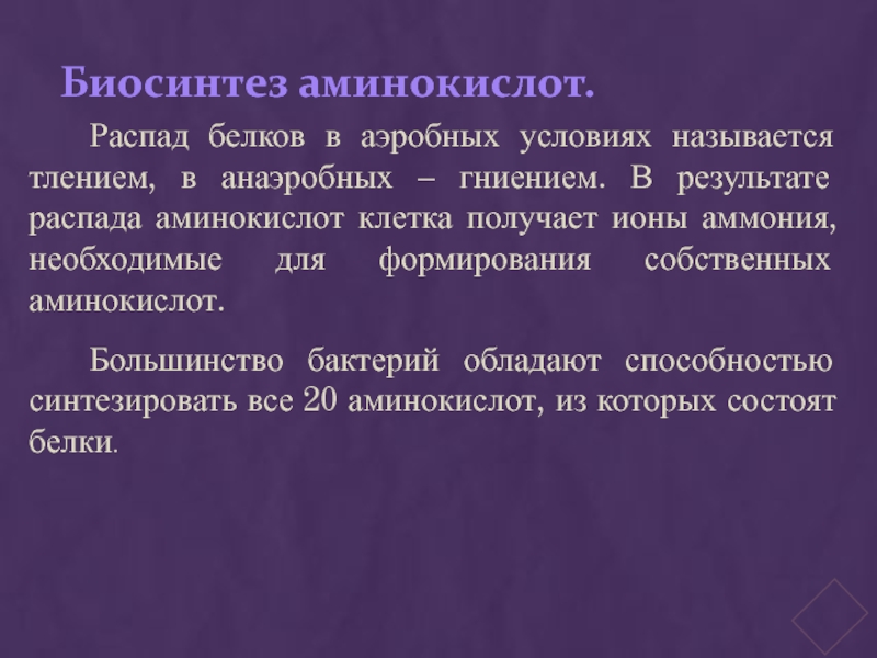 Распад белка. Распад белков. В результате распада белков. Распад белков как называется. Аэробный распад белка.