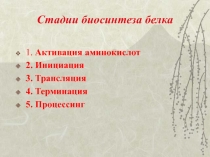 Биосинтез белка 