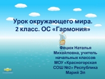 Озёра, пруды, болота. Байкал – жемчужина России 2 класс