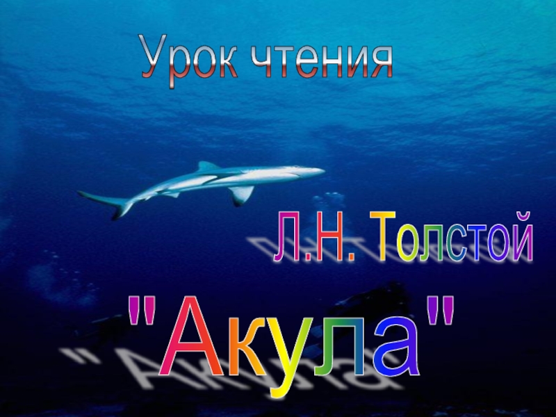 Л.Н. Толстой   Урок чтения   "Акула" 