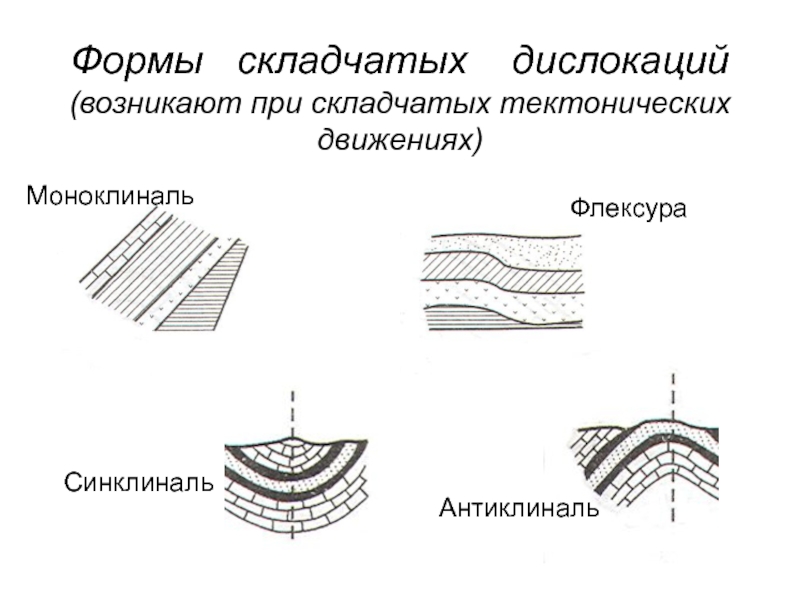 Описать формы складчатых и разрывных нарушений и сопроводить описание схематическим рисунком