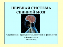 НЕРВНАЯ СИСТЕМА СПИННОЙ МОЗГ Составитель: преподаватель анатомии и физиологии