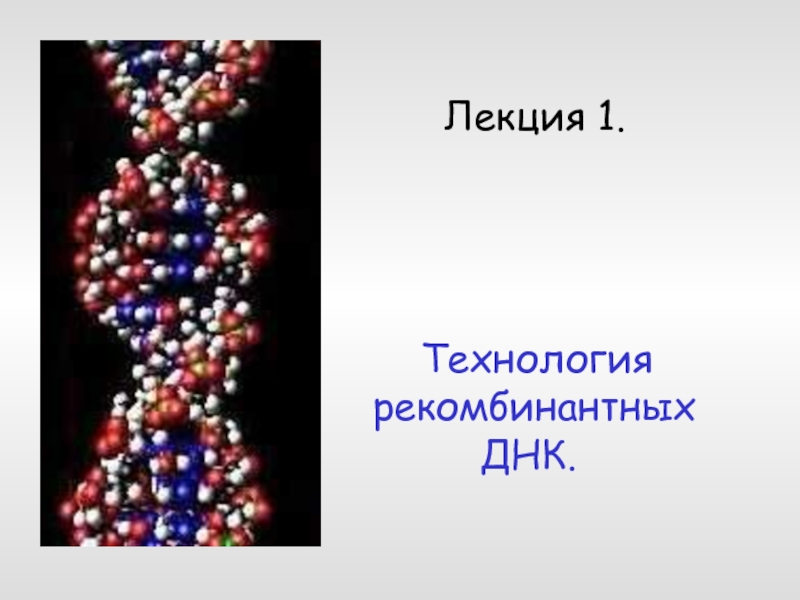 Презентация Технология рекомбинантных ДНК 11 класс
