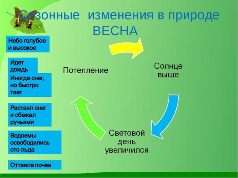 2 класс проект сезонные изменения