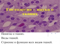 Гистология