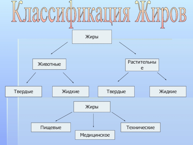 Жидкие жиры растительного происхождения. Классификация жиров. Пищевые жиры классификация. Жиры схема. Жиры классификация жиров.