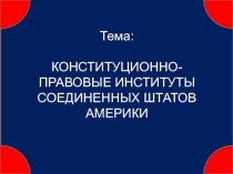 Тема:
КОНСТИТУЦИОННО-ПРАВОВЫЕ ИНСТИТУТЫ СОЕДИНЕННЫХ ШТАТОВ АМЕРИКИ