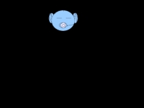  Германия XXв 