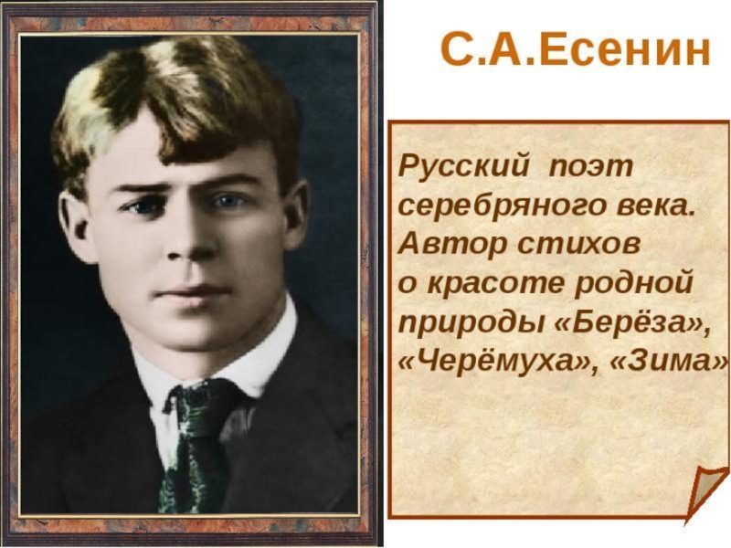 Проект поэт. Есенин поэт серебряного века. Стихи писателей. Поэты и Писатели 20 века детям. Поэты и Писатели 20 века детям проект.