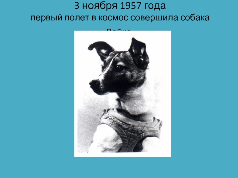 3 ноября 1957 года  первый полет в космос совершила собака Лайка.
