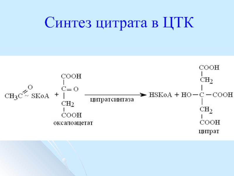 Составить синтез. Цитратсинтаза. Реакция образования цитрата. Синтез цитрата. Цитрат в ЦТК.