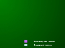 Ныне живущие таксоны
Вымершие таксоны