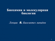 1
Б иохимия и молекулярная биология
Лекция 8. Биосинтез липидов