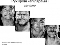 Рух крові капілярами і венами