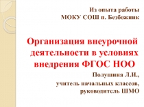 Организация внеурочной деятельности в условиях внедрения ФГОС НОО