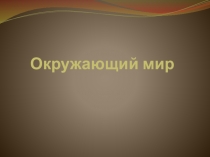 Презентация к уроку окружающего мира по теме 