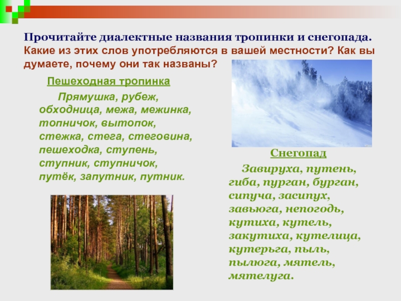 Человек родом из определенной местности. Диалектные слова к снегопад,. Зачем нужны диалектные слова. Сочинение с диалектными словами. Как проект назвать по тропинке.