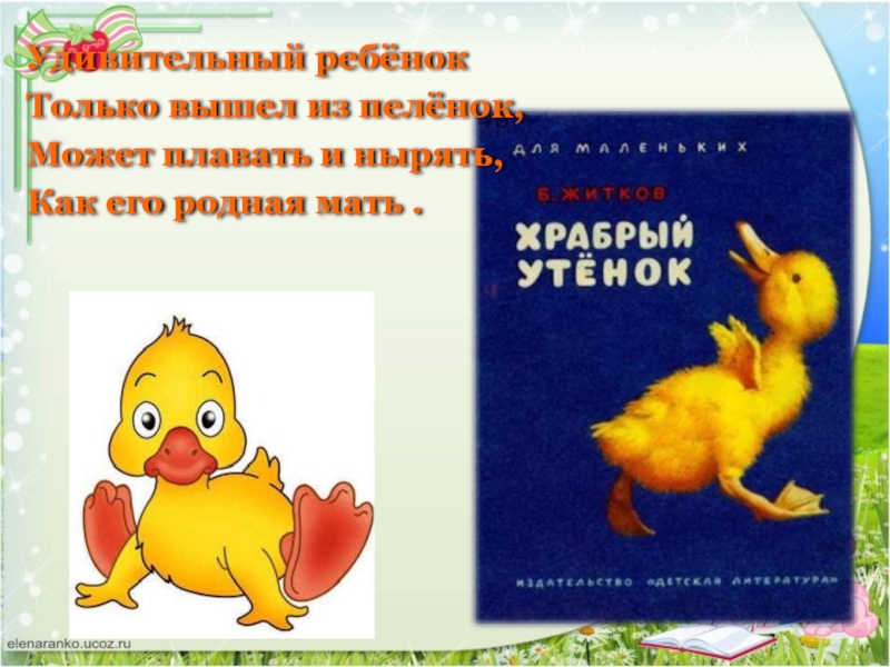 Храбрый утенок план. Конспект урока 2 класс чтение Житков Храбрый утенок. План рассказа Храбрый утенок 2 класс. Житков Храбрый утенок конспект урока 2 класс. Текст Храбрый утенок 2 класс литературное чтение.